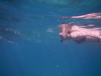 Danielle snorkelling with the Dolphins